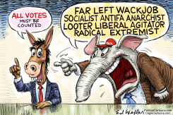 ALL VOTES MUST BE COUNTED by Ed Wexler