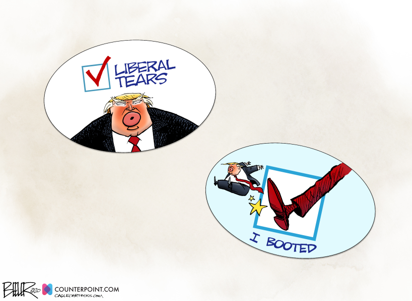 2020 Voting Stickers