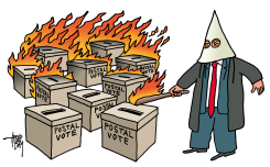 POSTAL VOTES by Arend van Dam