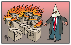 POSTAL VOTES by Arend van Dam