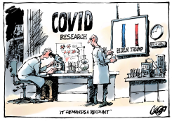 A RECOUNT by Jos Collignon