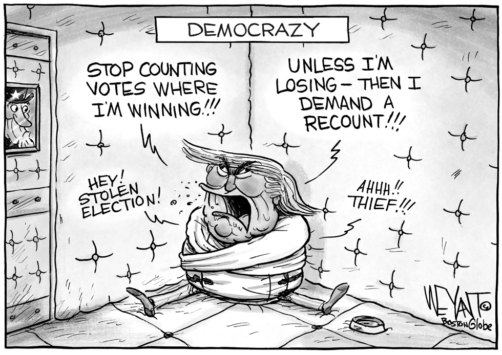 Trump's Democracy
