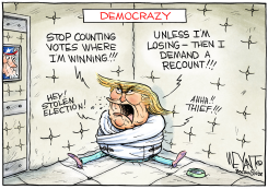 TRUMP'S DEMOCRAZY by Christopher Weyant
