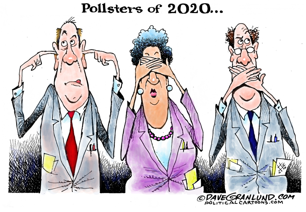 Pollsters and 2020 election