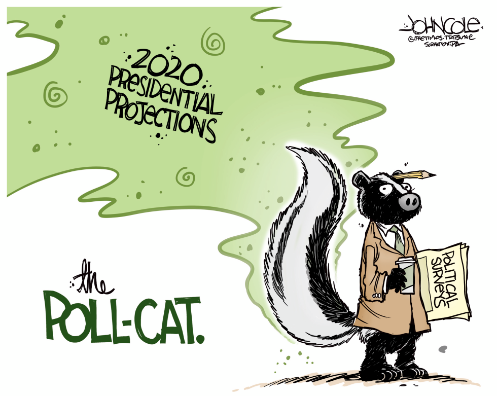 The Poll-cat