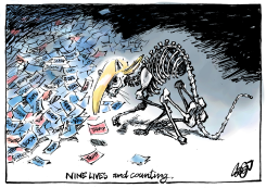 NINE LIVES AND COUNTING by Jos Collignon