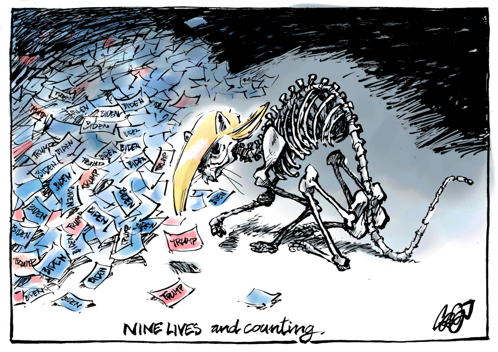 Nine lives and counting.