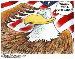 VETERANS DAY EAGLE THANKS by Dave Granlund
