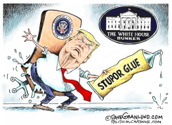 TRUMP 2020 RESULTS PLAN B by Dave Granlund