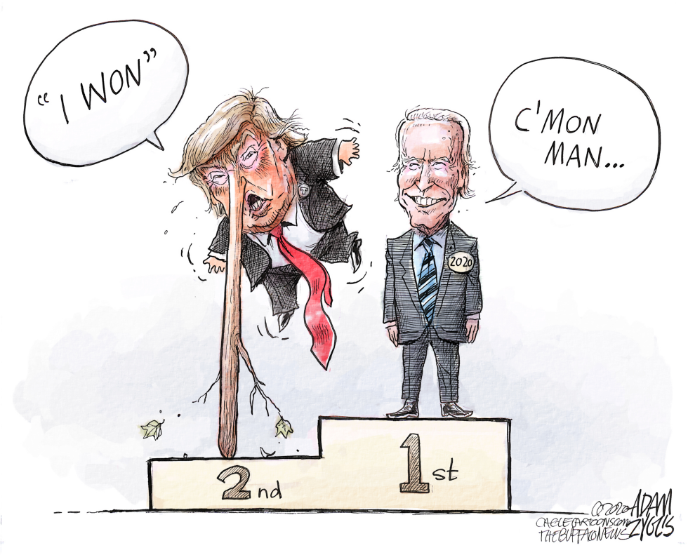 Election fraud