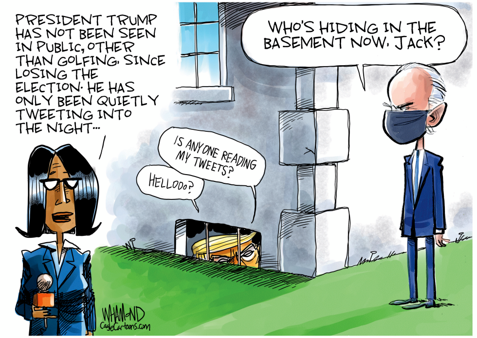 Trump in the basement