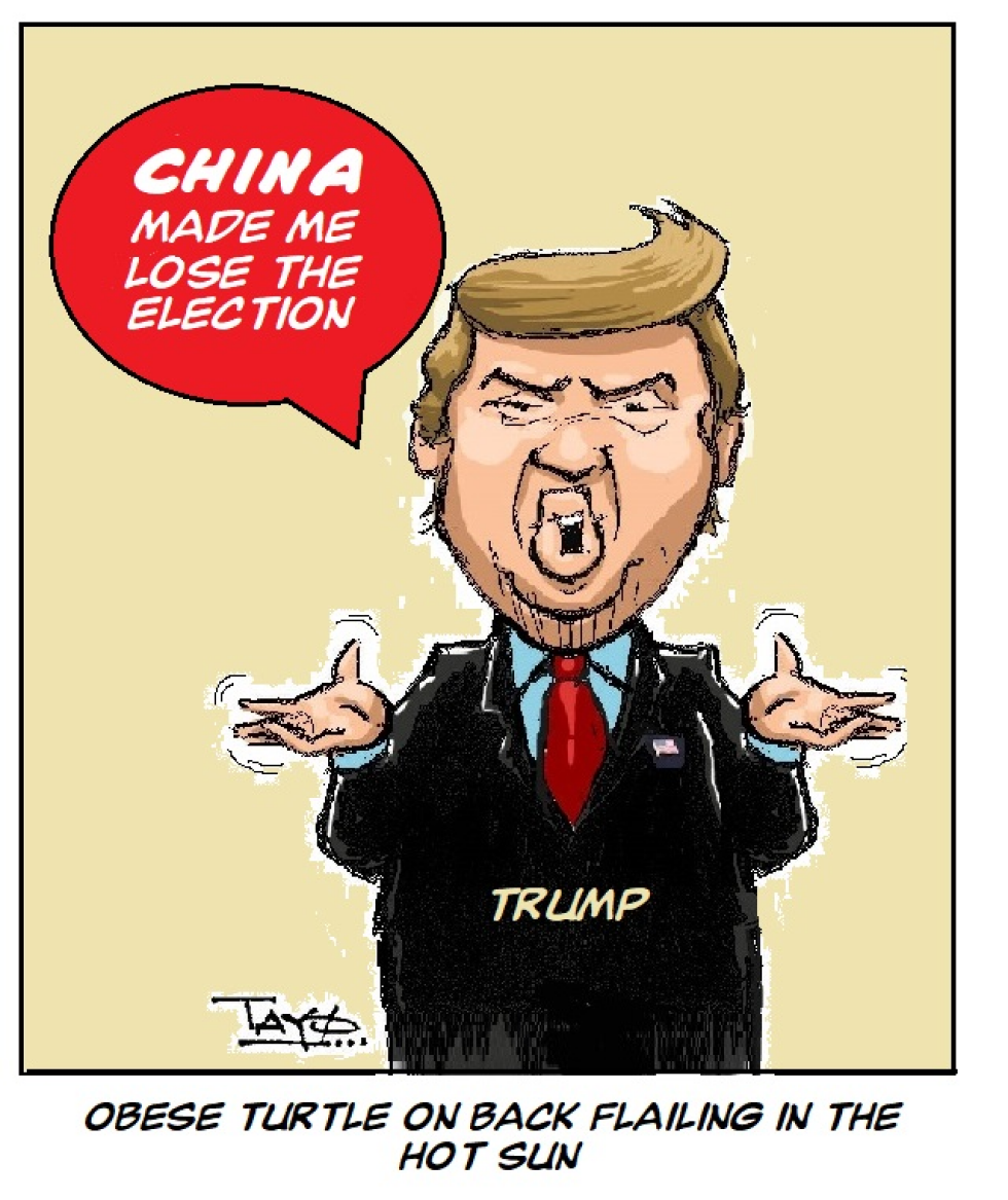 TRUMP - A flailing obese turtle on its back