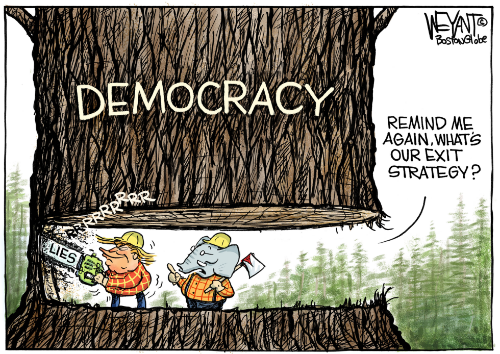 Chopping Democracy
