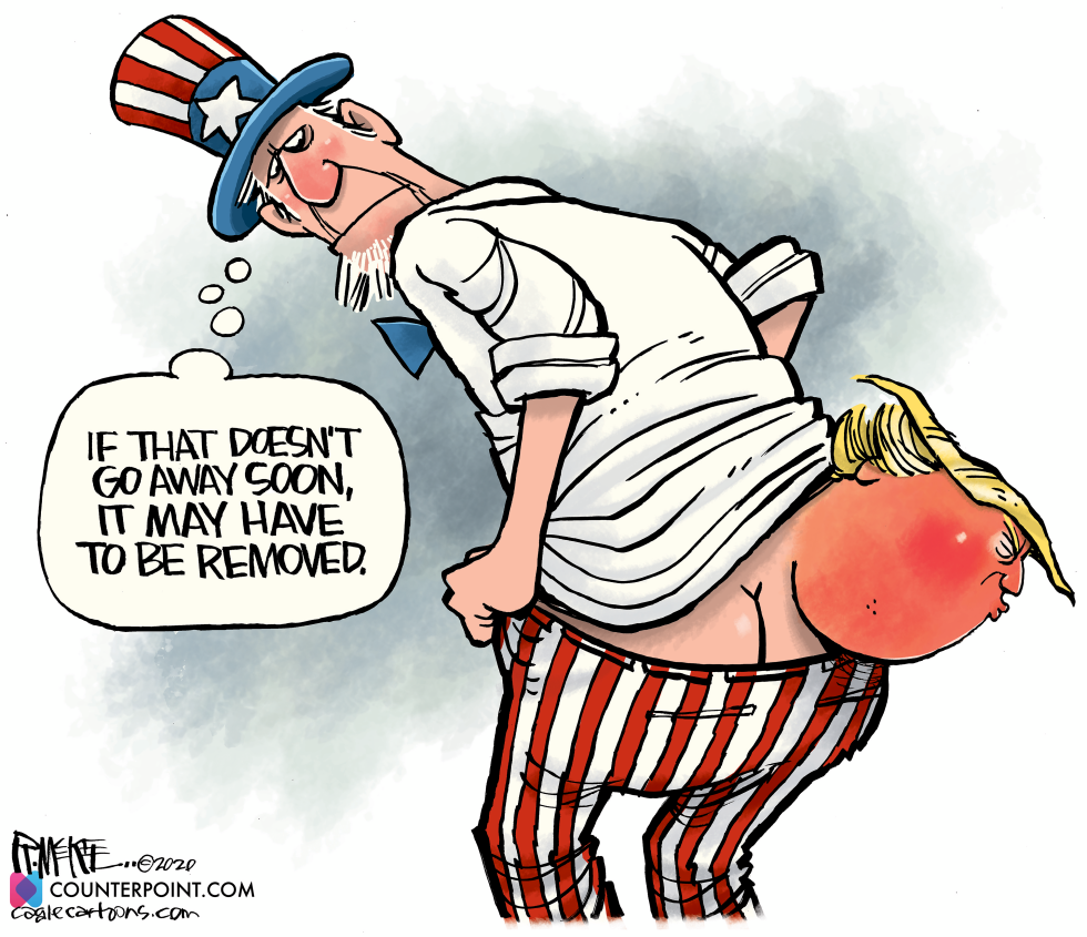 Trump boil
