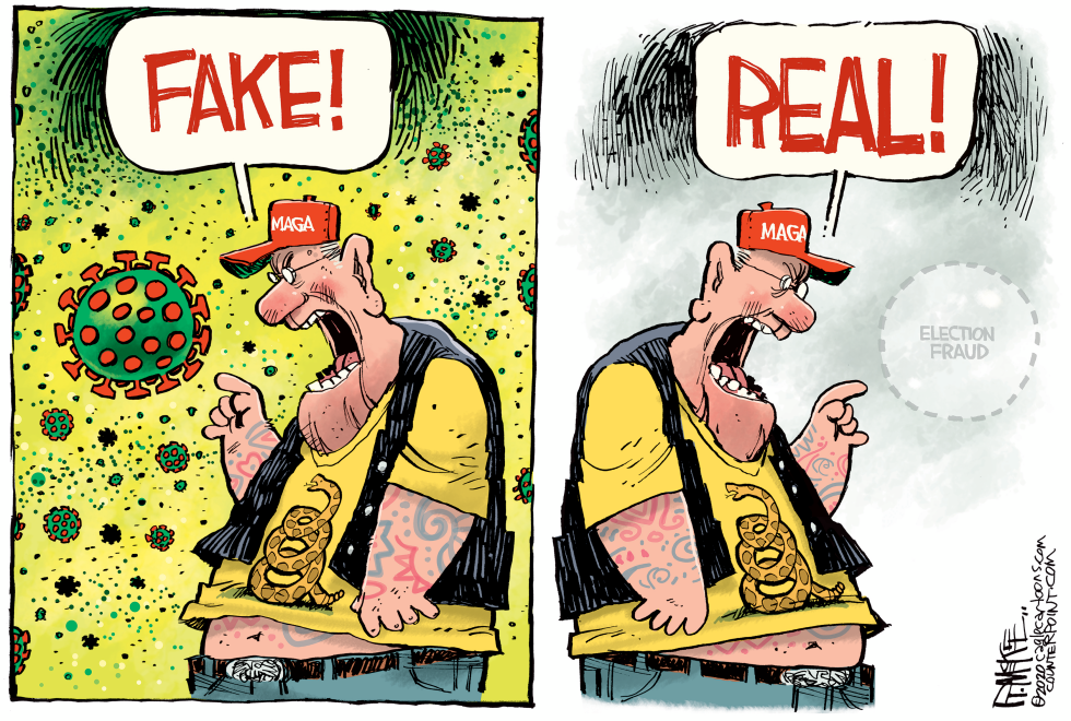 Trump Election Fraud