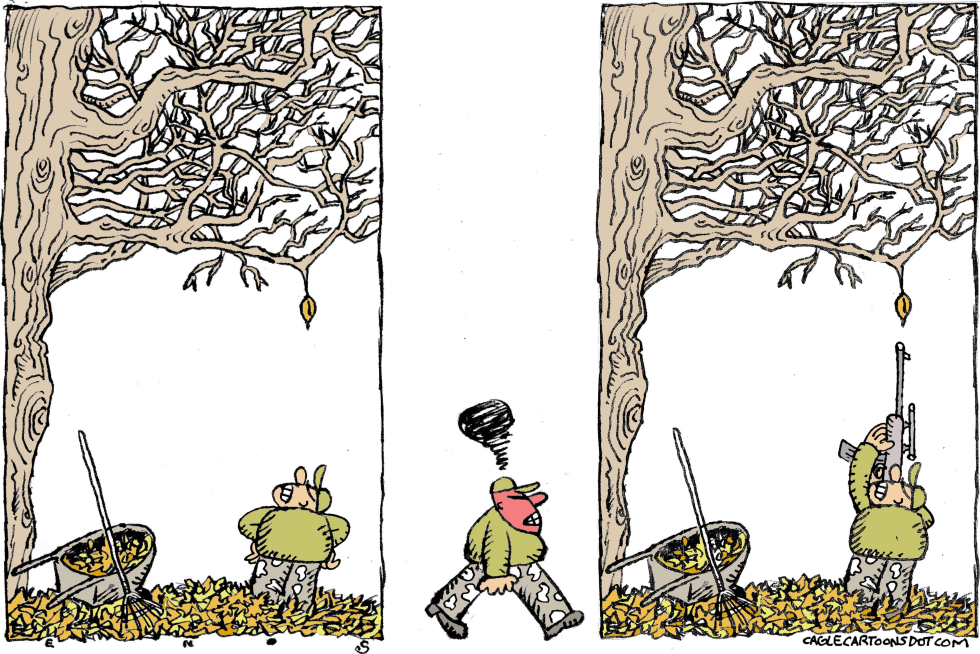 Fall Assault