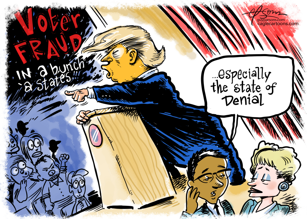 Voter Fraud States