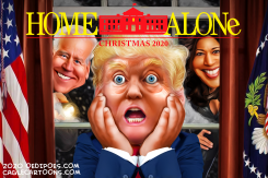 HOME ALONE by Bart van Leeuwen