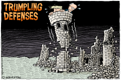 TRUMPLING DEFENSES by Monte Wolverton