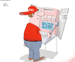 RISKY VOTING by Gary McCoy