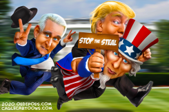 STOP THE STEAL by Bart van Leeuwen