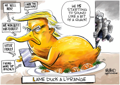 LAME DUCK A L'ORANGE by Dave Whamond