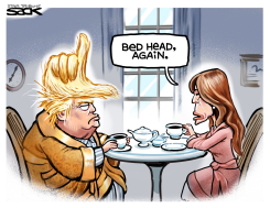 PRESIDENT LOSER by Steve Sack