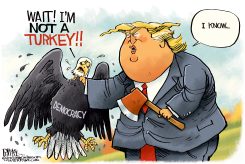 TRUMP KILLS DEMOCRACY by Rick McKee