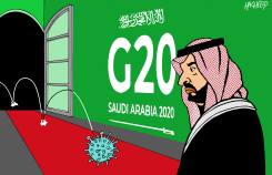G 20 SUMMIT IN RIYADH by Rainer Hachfeld
