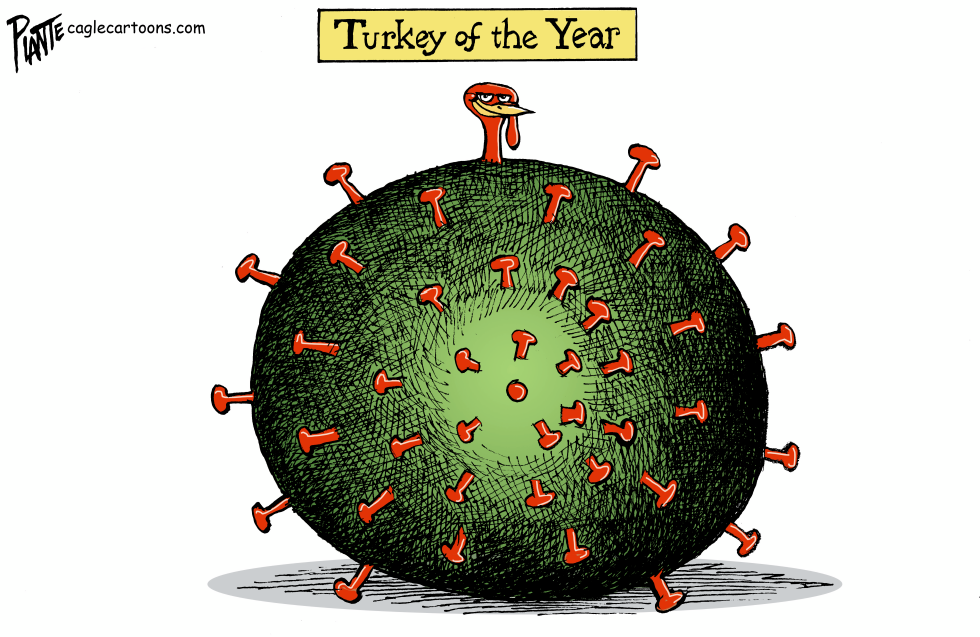2020 Turkey of the Year