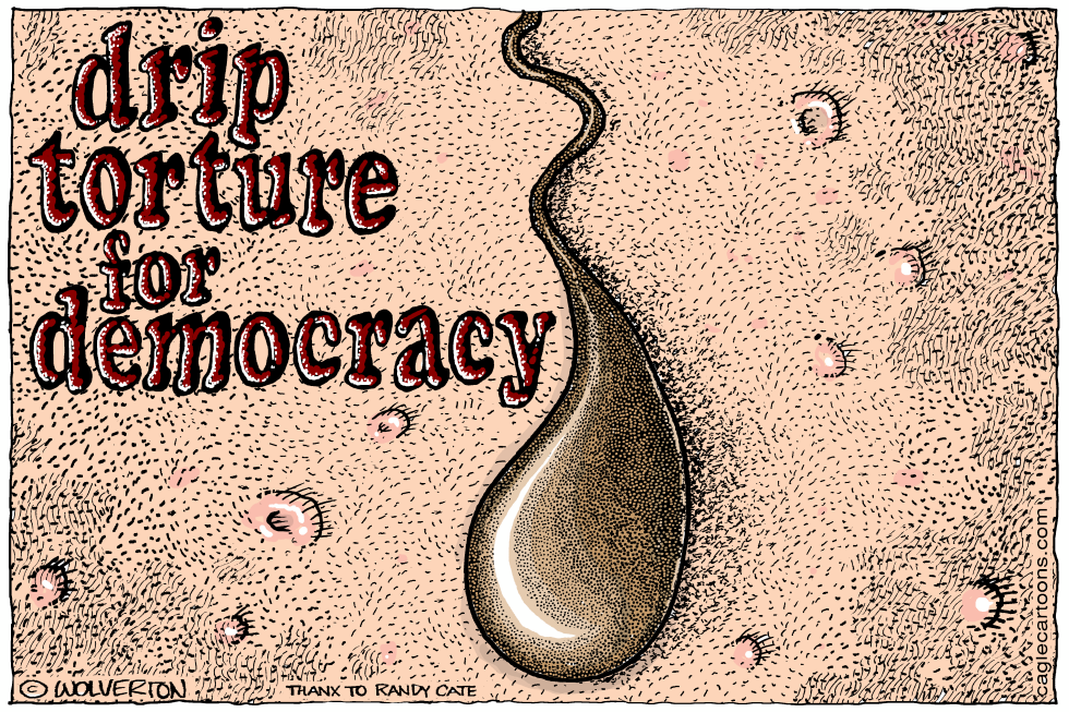 Drip Torture for Democracy
