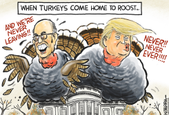 TWO TURKEYS by Jeff Koterba