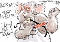 POLITICAL JUNKIE by Pat Bagley