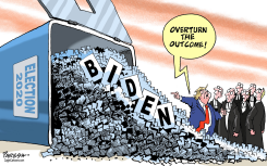 TRUMP LEGAL STRATEGY by Paresh Nath