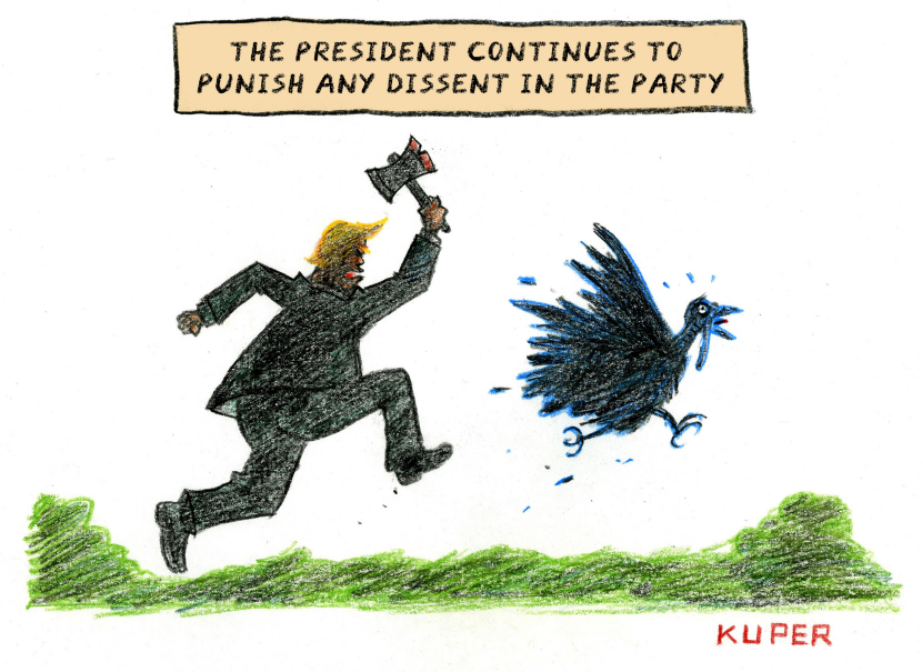 GOP Turkey
