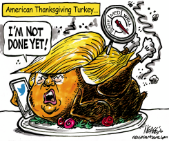 US TURKEY by Steve Nease