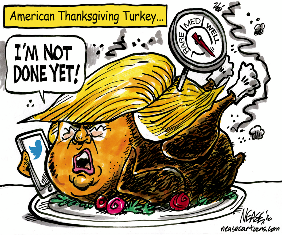 US Turkey
