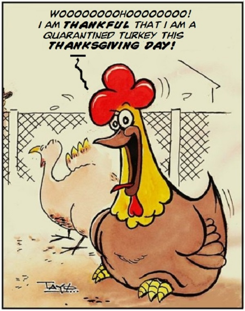 A Turkey's delight