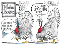PARDONING THE TURKEY by John Darkow
