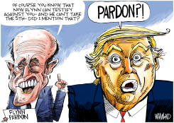 FLYNN PARDON by Dave Whamond