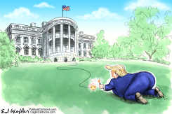 LIGHT WHITE HOUSE FUSE by Ed Wexler