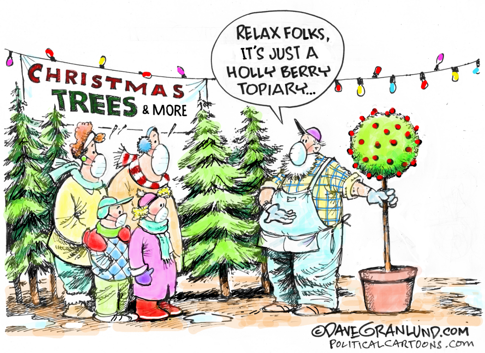 Christmas trees 2020