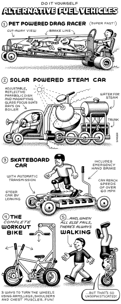 DO IT YOURSELF ALTERNATIVE FUEL VEHICLES VERTICAL by Andy Singer