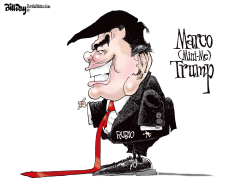 MARCO (MINI-ME) TRUMP by Bill Day