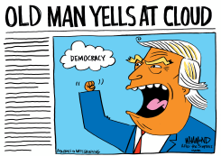 OLD MAN YELLS AT DEMOCRACY by Dave Whamond