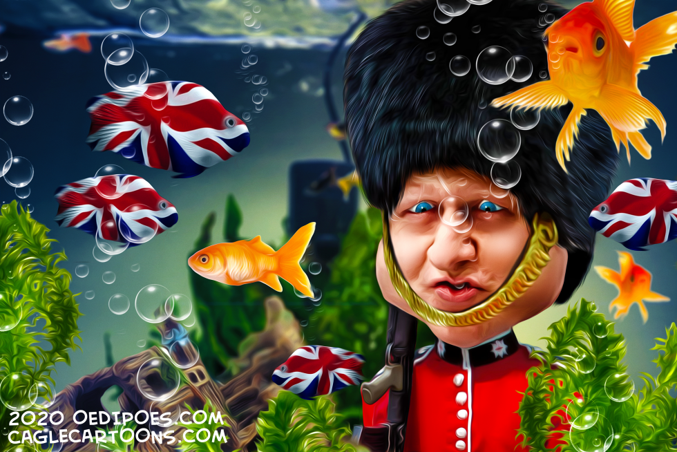 Fishy Waters