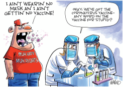 STUPIDITY VACCINE by Dave Whamond