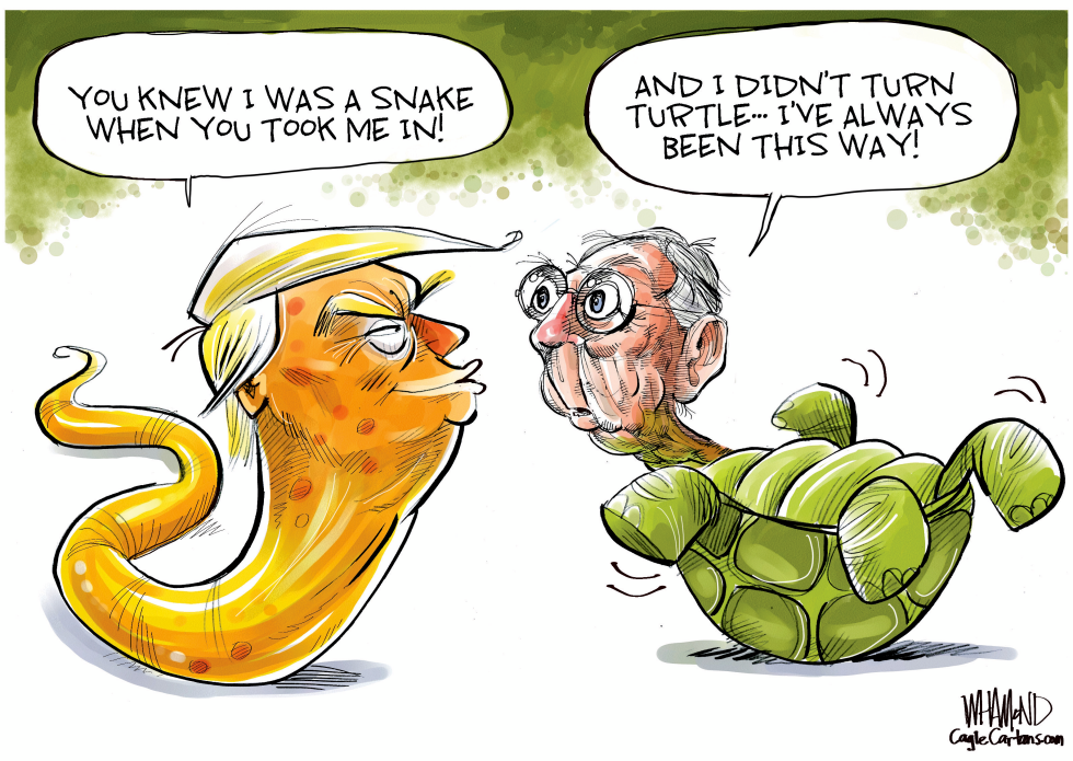 The Snake and The Turtle