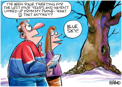 FOUR LONG YEARS by Dave Whamond