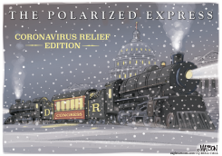 THE POLARIZED EXPRESS by R.J. Matson